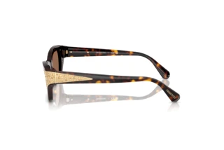 Seitenansicht Swarovski SK6029 (100273)