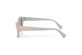 Seitenansicht Swarovski SK6029 (10317N)