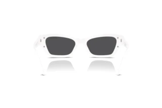 Vista posteriore Swarovski SK6029 (10506G)
