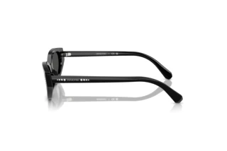 Seitenansicht Swarovski SK6030 (100187)