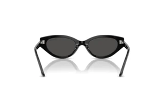 Rückansicht Swarovski SK6030 (100187)