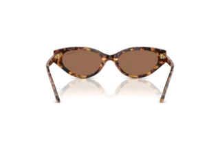 Vista posteriore Swarovski SK6030 (104073)