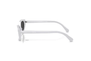 Vista laterale Swarovski SK6030 (106087)