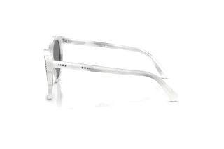 Seitenansicht Swarovski SK6031 (104287)