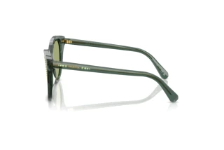 Vue latérale Swarovski SK6031 (104382)