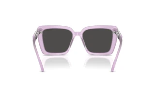 Vue arrière Swarovski SK6032 (107587)