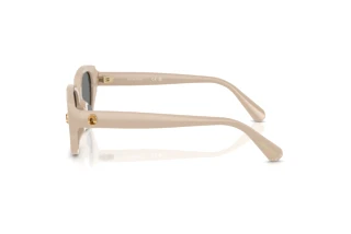 Vista laterale Swarovski SK6035D (106887)