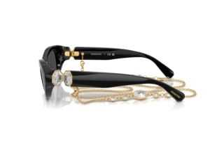 Vue latérale Swarovski SK6036U (107687)