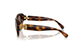 Vue latérale Swarovski SK6037 (100273)