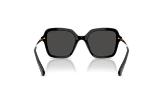 Vue arrière Swarovski SK6040 (100187)