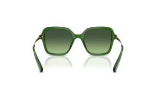 Vue arrière Swarovski SK6040 (10812A)