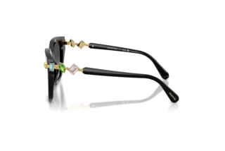 Seitenansicht Swarovski SK6041 (1001T3)