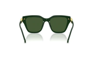 Rückansicht Swarovski SK6041 (102671)