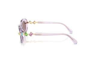 Vue latérale Swarovski SK6042 (1079LA)