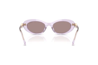 Vue arrière Swarovski SK6042 (1079LA)