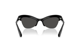 Rückansicht Swarovski SK6043 (100187)