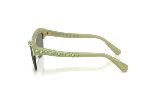 Vue latérale Swarovski SK6043 (10746R)
