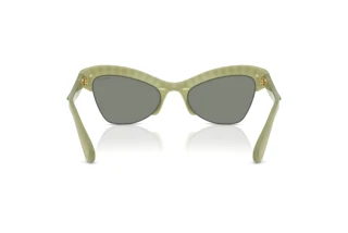 Vue arrière Swarovski SK6043 (10746R)