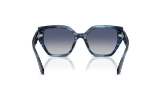 Vue arrière Swarovski SK6044U (10904L)