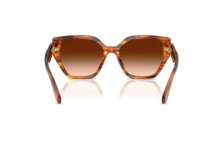 Vue arrière Swarovski SK6044U (109174)
