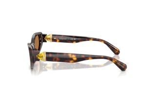 Vue latérale Swarovski SK6045U (100273)