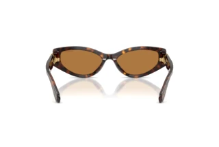 Vue arrière Swarovski SK6045U (100273)