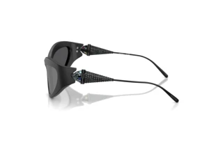 Vue latérale Swarovski SK6046 (10206G)