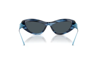 Vue arrière Swarovski SK6046 (109087)