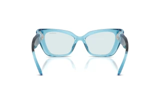 Vue arrière Swarovski SK6047 (107872)