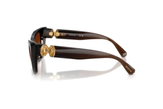 Vue latérale Swarovski SK6047 (108474)