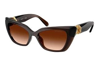 Swarovski SK6047 108474 Brown GradientTransparent Brown