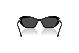 Vue arrière Swarovski SK6048 (103887)