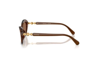 Vue latérale Swarovski SK6048 (108473)