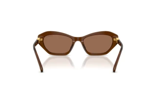 Vue arrière Swarovski SK6048 (108473)