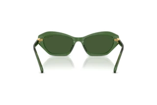 Vue arrière Swarovski SK6048 (108571)