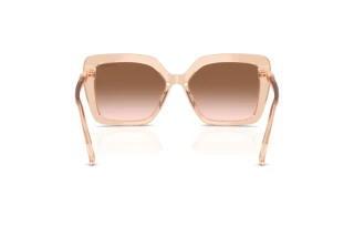 Vue arrière Swarovski SK6049 (106313)