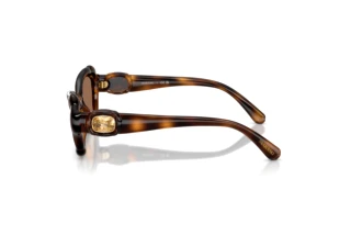 Vue latérale Swarovski SK6050 (100273)