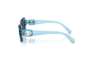 Vue latérale Swarovski SK6050 (107887)