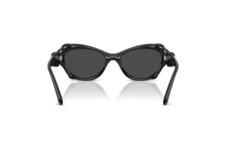 Vue arrière Swarovski SK6050 (108787)