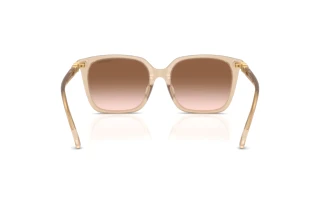 Vue arrière Swarovski SK6053D (103413)