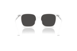 Vista posteriore Swarovski SK6053D (105087)