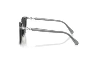 Vue latérale Swarovski SK6053D (106211)