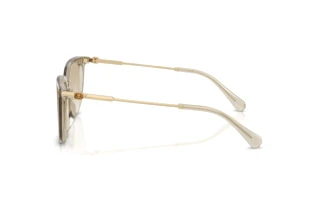 Vue latérale Swarovski SK6054D (300311)