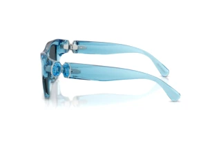 Seitenansicht Swarovski SK6056U (107887)