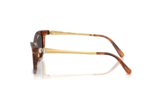 Seitenansicht Swarovski SK6057 (109187)