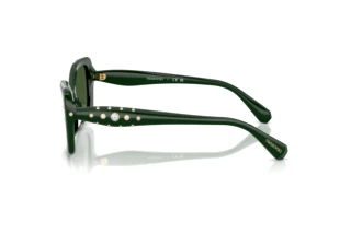 Seitenansicht Swarovski SK6058U (102671)