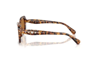 Vue latérale Swarovski SK6058U (104073)