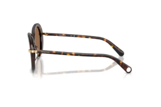 Seitenansicht Swarovski SK6059 (100273)