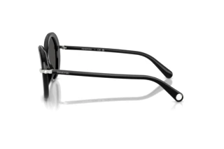 Seitenansicht Swarovski SK6059 (103887)