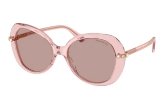 Vorderansicht Swarovski SK6059 (10977N)